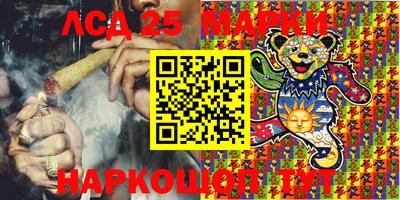стаф Сланцы