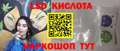 стаф Сланцы