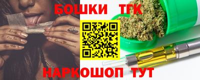 дмт Славгород