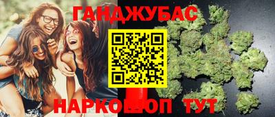 стаф Сланцы