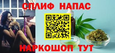 стаф Сланцы