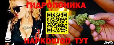 дмт Славгород
