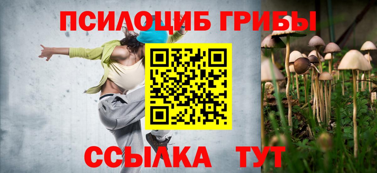 Псилоцибиновые грибы GOLDEN TEACHER  Галлюциногенные грибы мухоморы  Полысаево  Вход с VPN 
