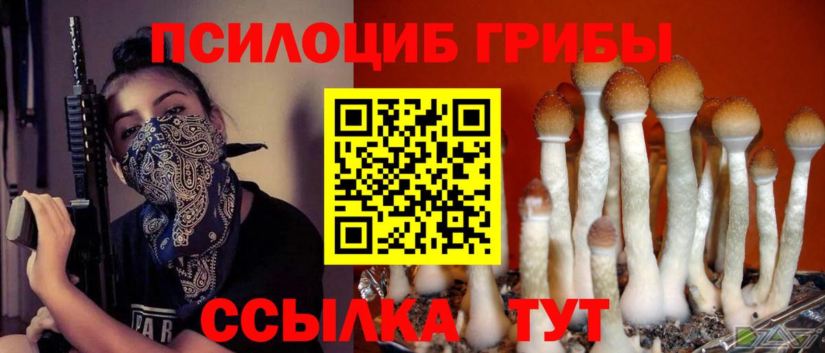 Галлюциногенные грибы Cubensis Полысаево